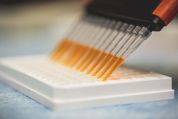 Bioraspolozivost Superment suplemenata