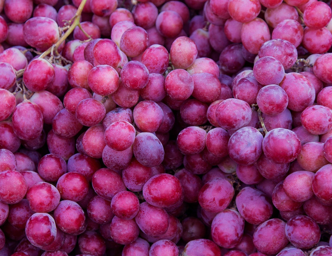 Koliko vina treba popiti za 1000 mg Resveratrola?