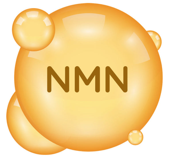 Kada NMN počinje da deluje nakon uzimanja?