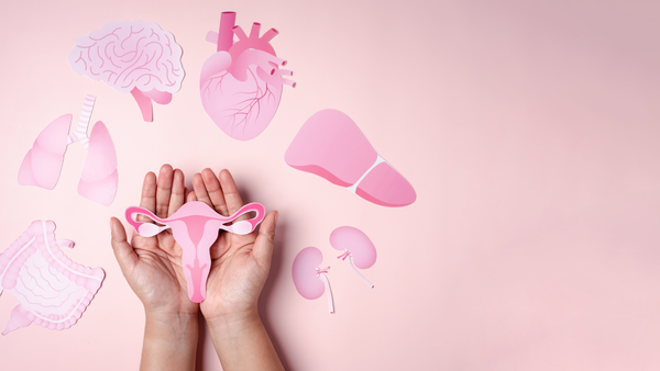 Ženske ruke drže ilustraciju reproduktivnih organa okruženu simbolima tela na nežnoj roze pozadini, simbolizujući važnost hormonalne ravnoteže i reproduktivnog zdravlja žena. SUPERMENT Mio Inozitol