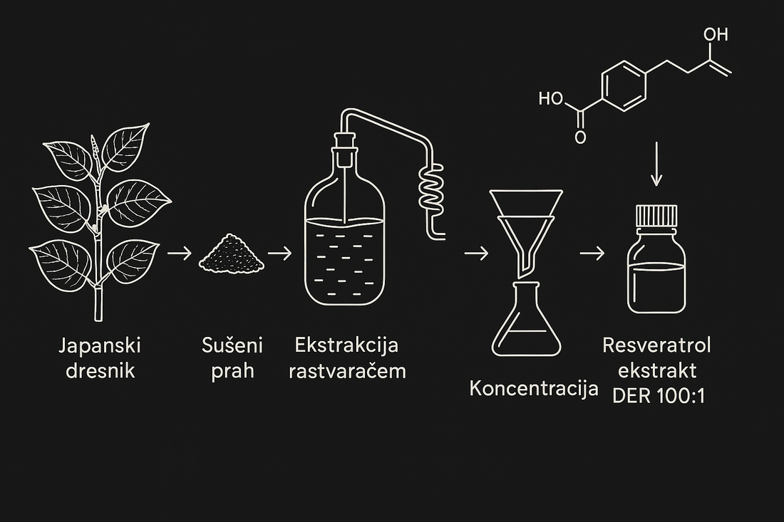 Na slici se vidi ceo proces ektrakcije resveratrola od japanskog dresnika, do susenog praha, ektrakcije rastvaracem, koncentracijom i konacnim ekstraktom resveratrola DER 100:1