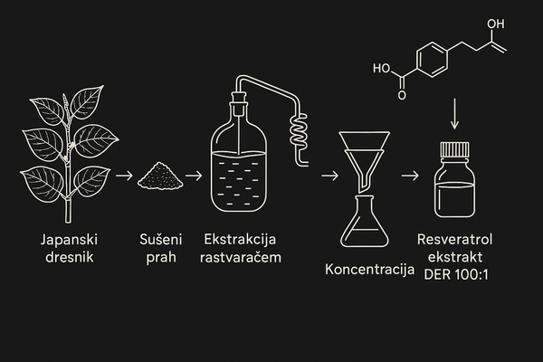 Na slici se vidi ceo proces ektrakcije resveratrola od japanskog dresnika, do susenog praha, ektrakcije rastvaracem, koncentracijom i konacnim ekstraktom resveratrola DER 100:1