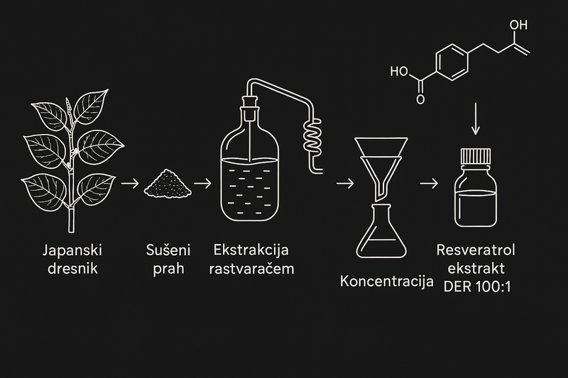 Na slici se vidi ceo proces ektrakcije resveratrola od japanskog dresnika, do susenog praha, ektrakcije rastvaracem, koncentracijom i konacnim ekstraktom resveratrola DER 100:1