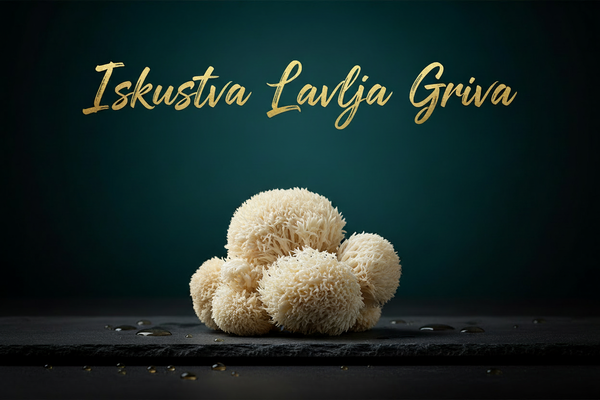 Lavlja Griva iskustva: šta korisnici zaista primećuju