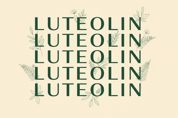 Luteolin protokol: kako se uzima i koliko?