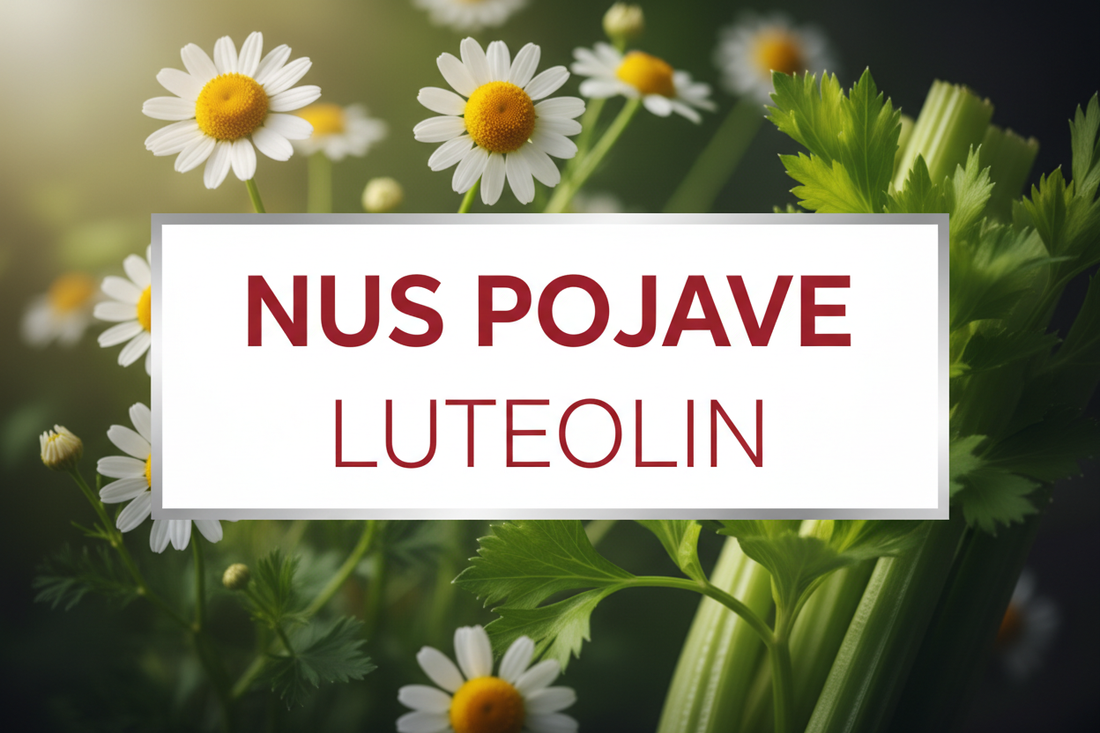 Nuspojave luteolina: da li je bezbedan suplement, može li da se predozira i šta je realno očekivati