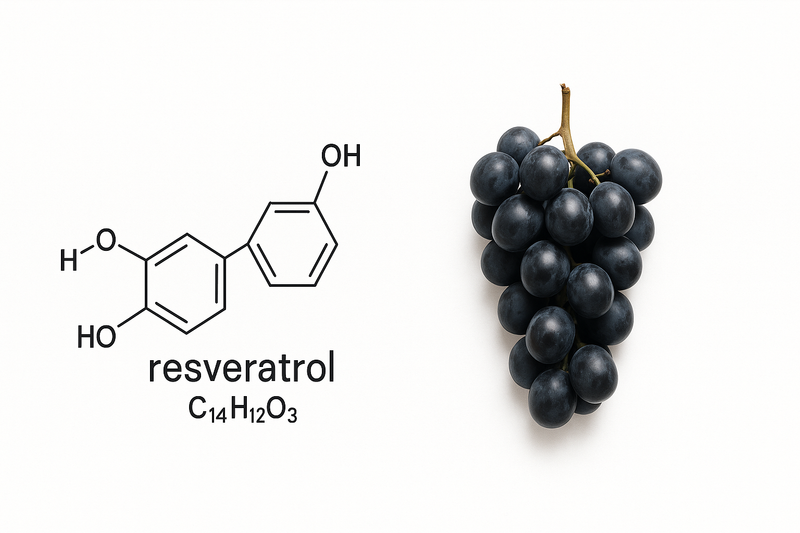 Molekul resveratrola prikazan pored crnog grožđa na beloj pozadini