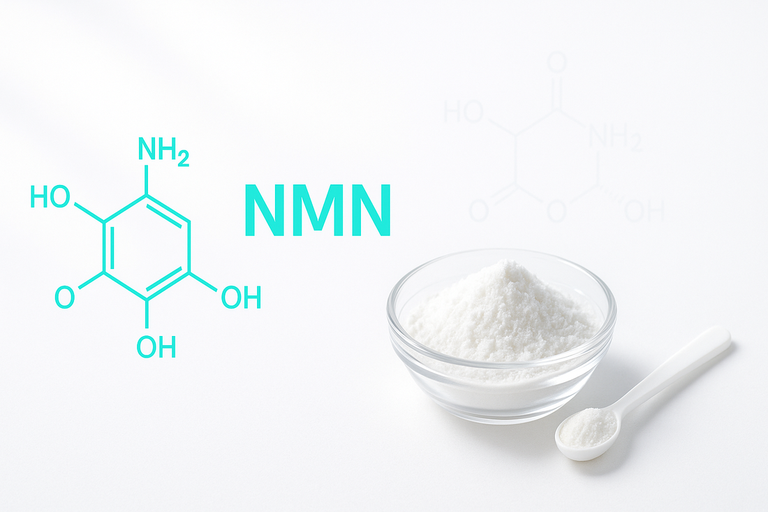 Na slici je NMN beli prah u posudi i NMN beli prah u beloj kasicici, sa slovima NMN i hemijskim crtezom NMN molekula na beloj pozadini